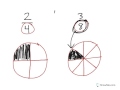 Understanding Fractions and Denominators