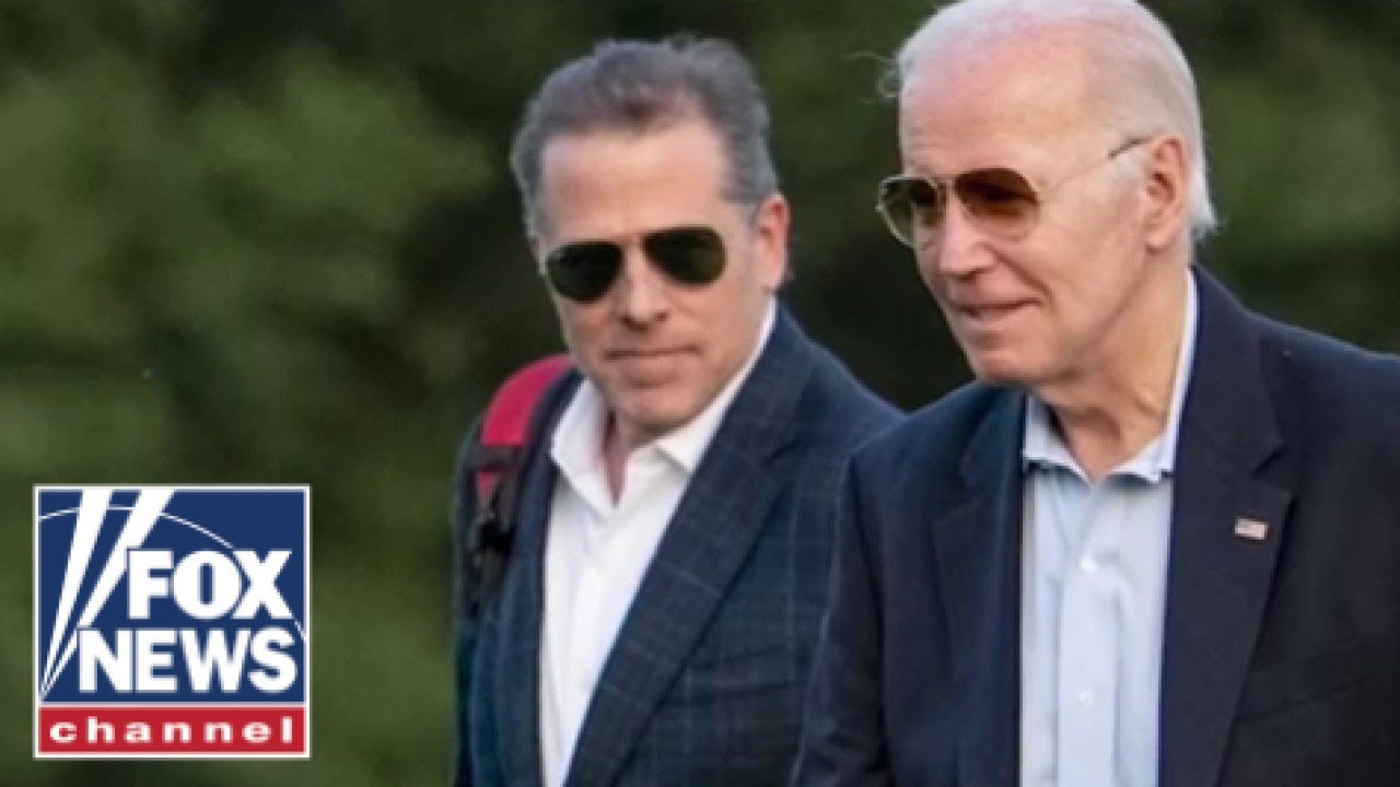 ‘LIVING HELL’: Former Hunter Biden whistleblower describes IRS under Biden admin