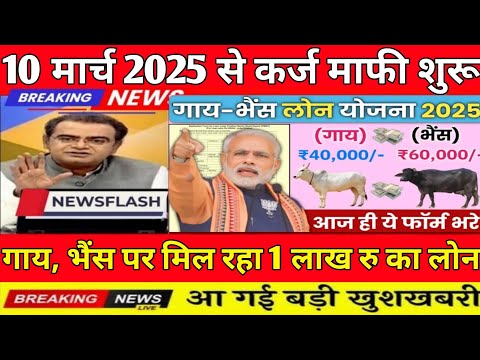 Pashupalan Loan kaise Le: पशुपालन लोन योजना 2025 | गाय भैंस लोन कैसे लें, Kcc Loan Mafi Yojana 2025