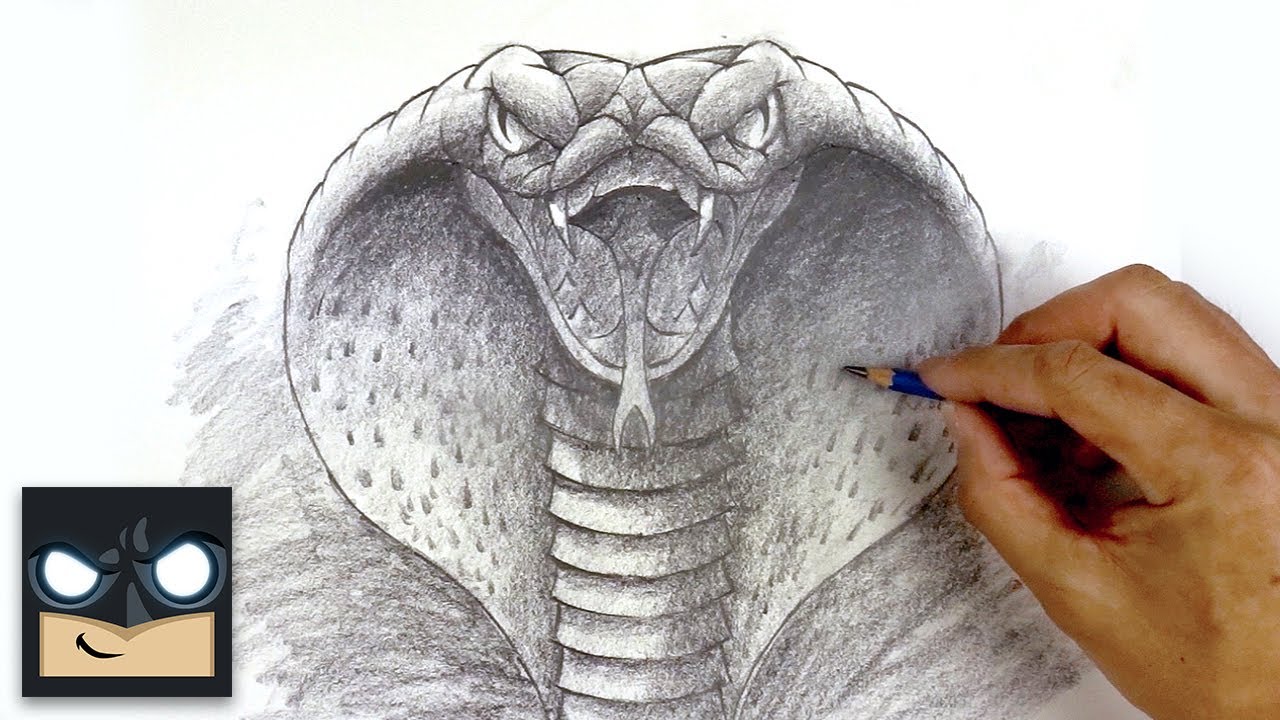 How To Draw A Cobra - Sketch Sunday
