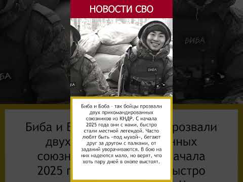 Биба и Боба из КНДР любят быть под мухой и шутить вместо службы  #россия #актуально #новости #СВО