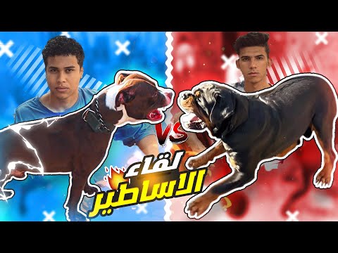 أخيراً هانتر يقابل بوتشر لأول مرة 😱!!🔥