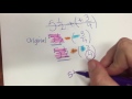 Understanding Adding and Subtracting Rational Numbers