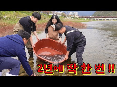 낚시로도 잡기 힘든 물고기!! 이곳은 10,000마리나 있네요!!