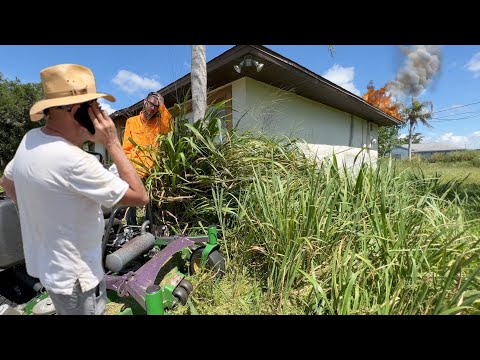I HAD TO CALL THE COPS while mowing this RANDOM STRANGERS neglected yard for FREE!