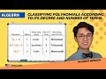 Understanding Polynomials and Their Operations