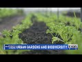 Urban Gardening and Biodiversity Concepts