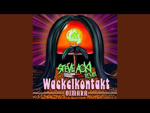 Wackelkontakt (Steve Aoki Remix) (Preview)