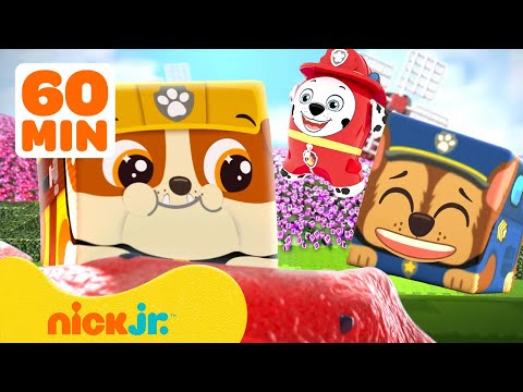 PAW Patrol Pups Reimagined! And More Nick Jr. Characters! | 60 Minutes | Nick Jr.