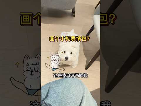 畫個小狗表情包？ #熱門 #西高地 #碎嘴擼米