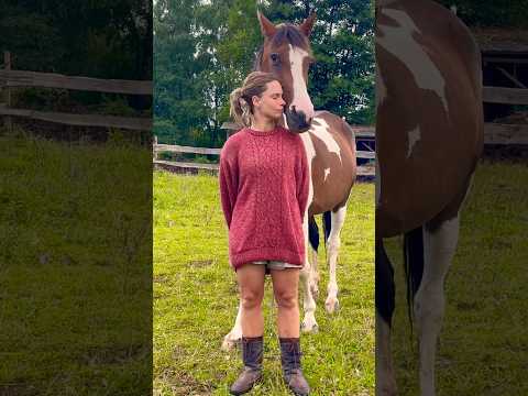 This Visually Impaired Horse is my inspiration to always find a way!!