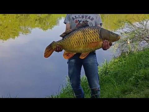 🎣 РИБАЛКа2026