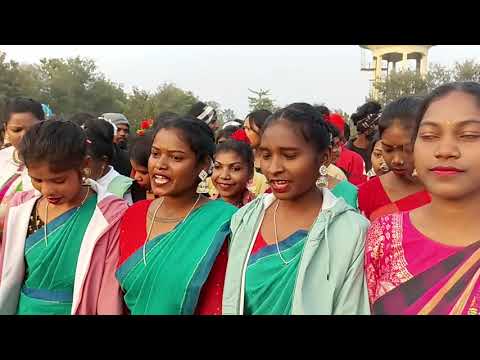 GODDA COLLEGE SOHRAI VIDEO/BINOD HANSDAK/@kutampurigar NEW SOHRAI VIDEO 2025🌟🌟🌟🌟🔥🔥🔥🔥🔥🔥🔥