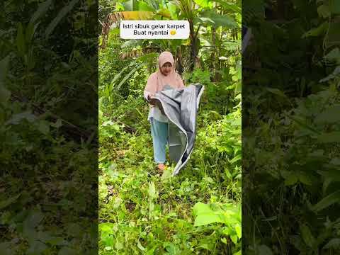 T!pu daya istri pemalas 😂 #comedy #pasutri #lucu #ngakak #funny