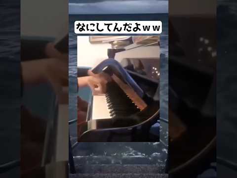 なにしてんだよまじでwww #shorts #面白い #twitter