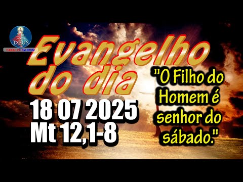 EVANGELHO DO DIA 18/07/2025 COM REFLEXÃO. Evangelho (Mt 12,1-8)