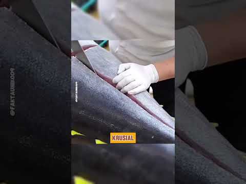 Beginilah skill yang dibutuhkan untuk memotong Ikan Tuna Sirip biru #shorts