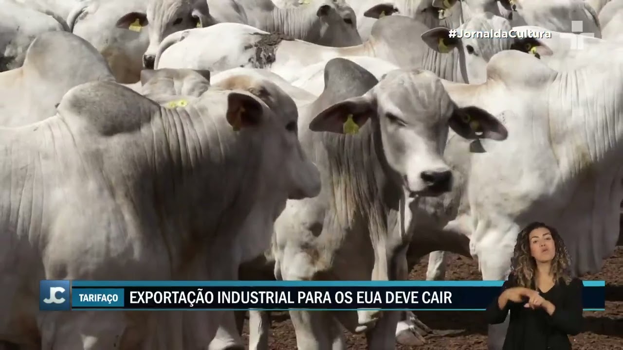 Alckmin comenta tarifa dos EUA e agenda viagem ao México