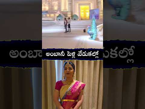 Veena Srivani in Ambhani's Wedding | #24/7newstv #ambaniwedding #venuswamy #veena  #veenasrivani