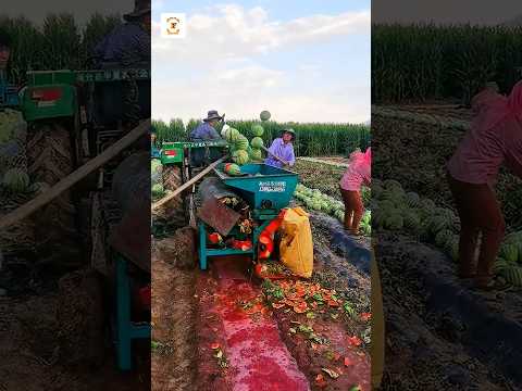 Destroying The Watermelon🍉
