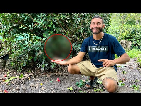 I Bought A NEW Rare BIRD for the AVIARY! Welcome to Blake’s Exotic Animal Ranch
if you’re new here, I would definitely subscribe and clic