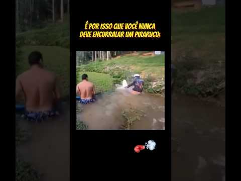 Quando ele viu já era tarde… 🥊💨😂😂 #pescador #pescaria #pescaesportiva #pirarucu #pesca