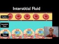 Understanding Interstitial Fluid