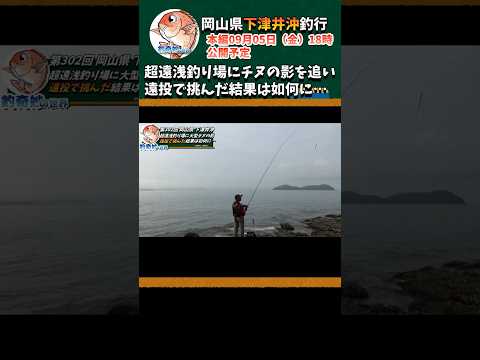 超遠浅釣り場に大型チヌの影を追い遠投で挑んだ結果は如何に… #shorts