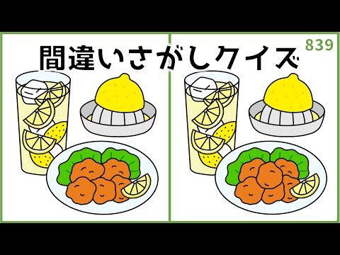 【間違い探しクイズ】夏を感じるイラスト集！難しいけど面白い脳トレ【全3問】#839