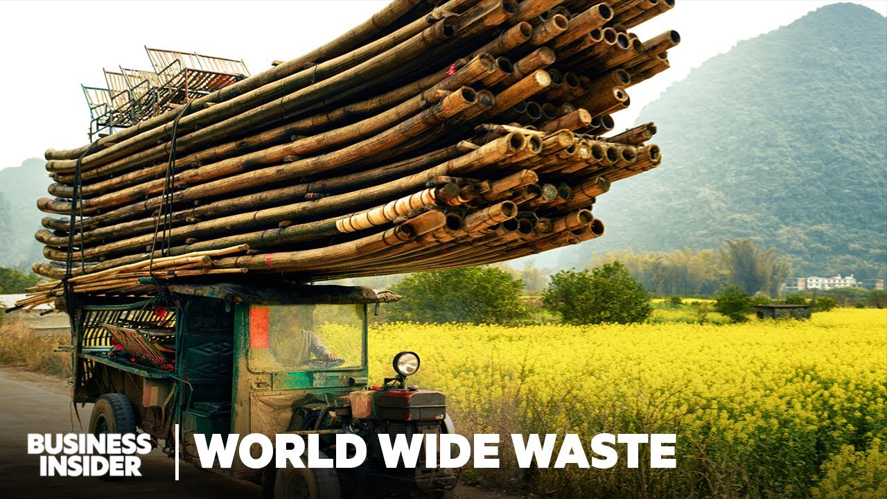 Can Bamboo Replace Paper And Plastic? And Should It? | World Wide Waste | Business Insider