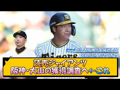 読売ジャイアンツ 阪神・大山悠輔の獲得調査へ←これ【なんJ/2ch/5ch/ネット 反応 まとめ/阪神タイガース/岡田監督/阿部監督/藤川監督/巨人】