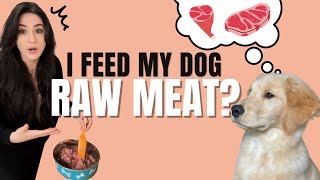 Raw Feeding my Dog | How much does it cost to feed raw? And what are the benefits of feeding raw?