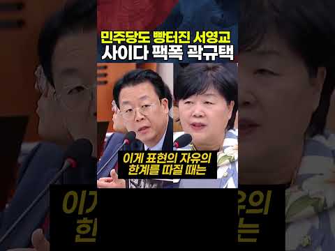민주당도 <strong>빵</strong> 터진 서영교 팩폭하는 곽규택