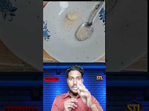 ১ মিনিটে চিনির সব পিঁপড়ে উধাও 😳 দেখো এই ট্রিক! #youtubeshorts #viralvideo #trendingnow #samtheloser