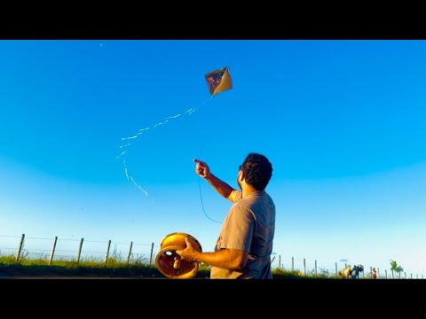 Ele tirou todo mundo do alto no tenteio e fui o único a tirá-lo do alto com a carretilha na mão