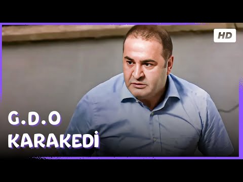G.D.O. Karakedi | Şafak Sezer Türk Komedi Filmi