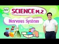 Nervous System Concepts and Functions