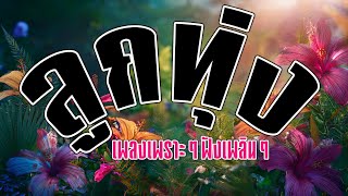 ลูกทุ่งเพลงเพราะๆฟังเพลินๆ : ป.ฉลาดใหญ่ Music Longplay