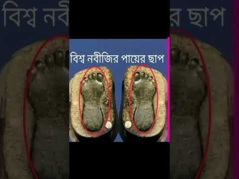 বিশ্ব নবীর পায়ের ছাপ#shorts #shortsvideo #islamic#islam #foryou