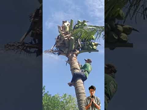 ประสบการณ์สำคัญที่สุด #สาระ #ความรู้ #มาแรง #กำลังฮิต #diy #ข่าวใหม่