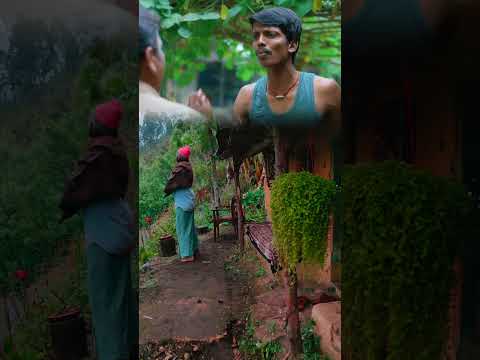 கொஞ்சமா காசு இருந்தாலும் நிம்மதியான வாழக்கை 😇🍃#villagelife #farming #youtubeshorts