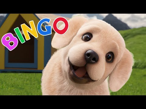 BINGO | Nursery Rhymes | Baby Song | LetsGoMartin Nursery Rhymes