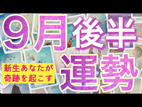 【16日から30日】選択肢◯さんに最強カード連続🩷あなたに起こりそうな事、気をつけること、恋愛仕事健康運、ラッキーアイテム、カラー🌹個人鑑定級