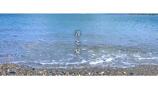 【歌ってみた】青と夏 (cover)【I-STREAM/ 新人Vtuber】