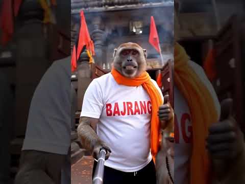Mahakal Vlog Part 5 #monkeyvlog #monkeyvlogger #monkeyvlogs #monkeyvloger