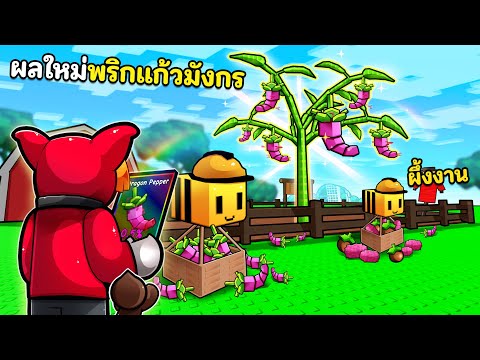 ผลใหม่หายาก พริกแก้วมังกร และ สัตว์เลี้ยงใหม่ผึ้งงาน | Grow a Garden Roblox