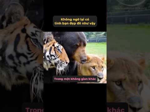 Bạn thân từ nhỏ, kiếp sau vẫn sẽ là bạn tốt #tangtuvien #shorts