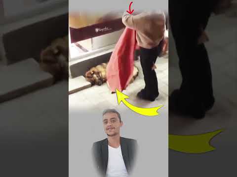 القلوب الرحيمة لا تمرّ على الضعفاء مرورًا عابرًا، بل تتوقف، تعطف، وتواسي لأن الرحمة خُلق لا يُخفى😊🥹