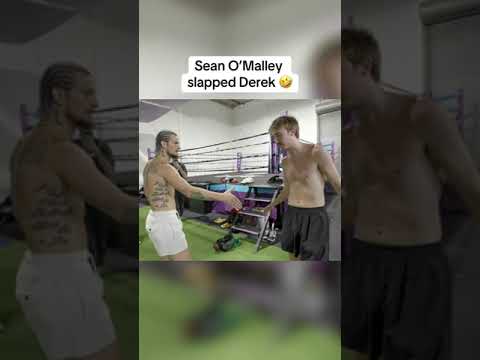 Sean O'Malley slapped Derek 🤣