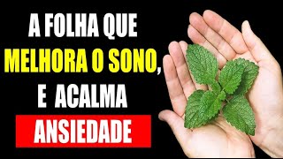 A FOLHA Nº1 PARA MELHORAR O SONO E ACALMAR A ANSIEDADE